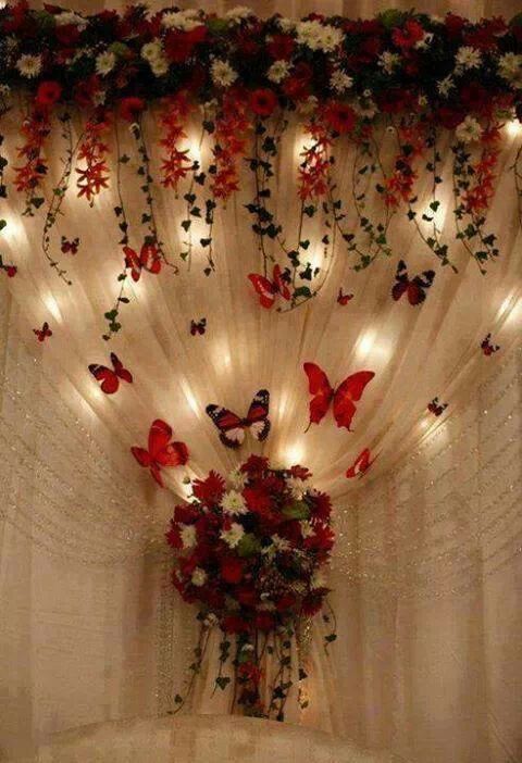 زفاف - الفراشات