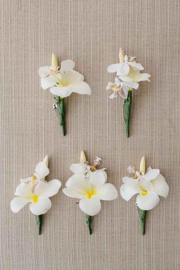 Wedding - Orchid Boutonnieres 
