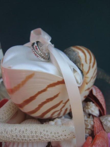 Wedding - Love The Shell Idea For A Beach Wedding! 
