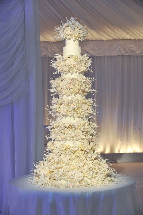 Wedding - Omg, What A Cake! 