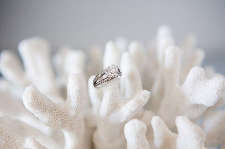 Wedding - Ring On White Coral 