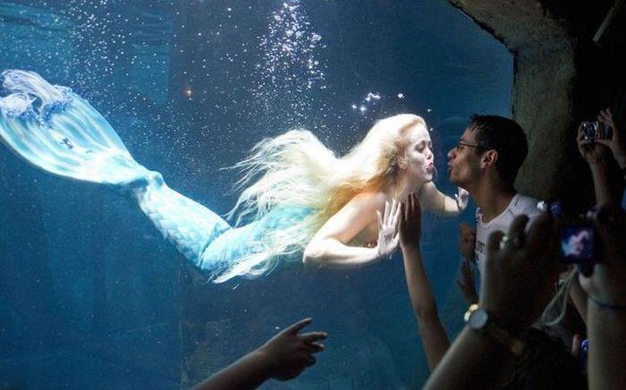 Hochzeit - Oh Wow .. Mermaid Kiss. ❤
