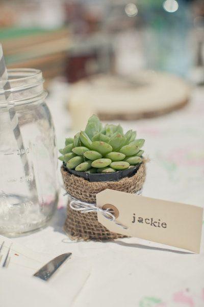 Wedding - I Love Succulents! 