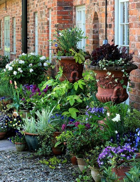 Wedding - Tips For Your Container Garden 
