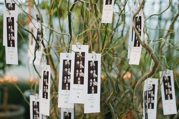 Wedding - Use Chicken Wire To Hang Decor On Trees 