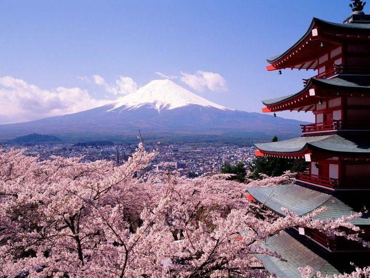 زفاف - جبل فوجي في اليابان.