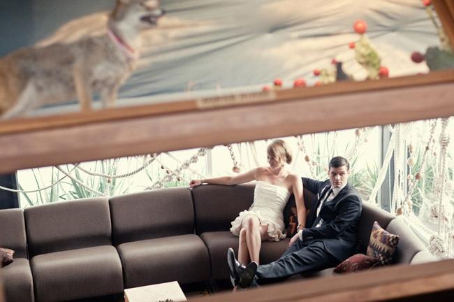 زفاف - الحقيقي الزفاف: زفاف سارة ريان وفي وايس الفندق