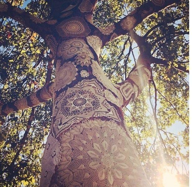 Wedding - Bohemian Decorations - Lace On Trees 