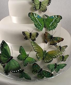 Mariage - Belles jeux de gâteau de papillon