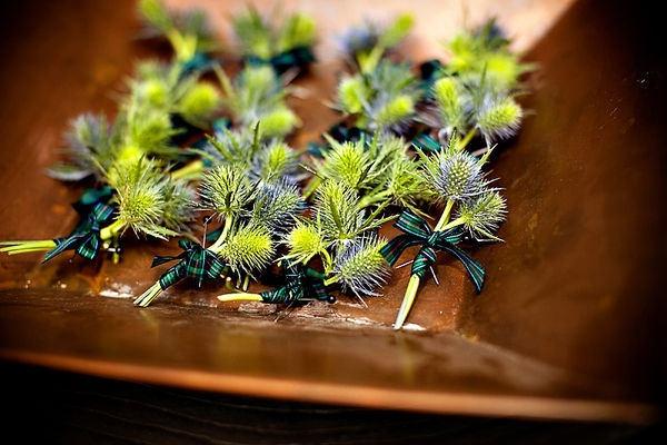 Mariage - Sproutflowers / Thistle