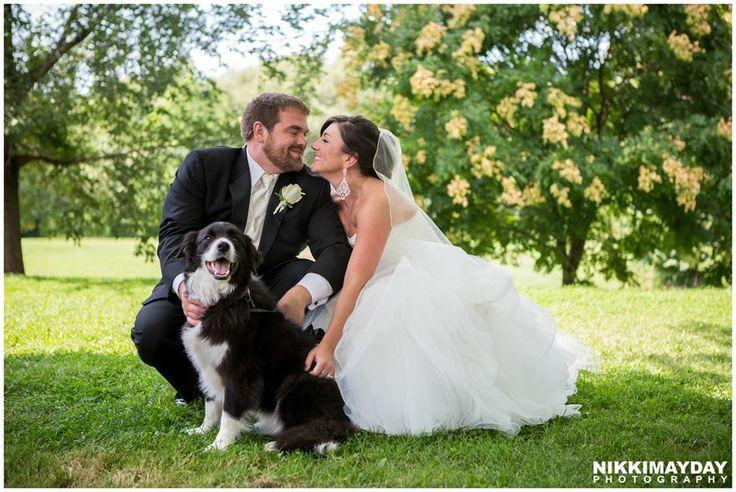 Mariage - Animaux Mariages
