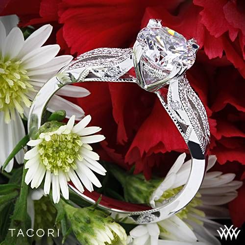 Wedding - 18k White Gold Tacori Ribbon Split Shank Diamond Engagement Ring