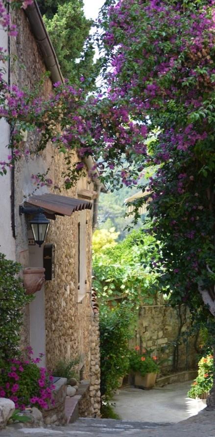 Hochzeit - Gasse in der Provence, Frankreich
