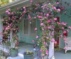 Mariage - Rose Arbor sur le porche