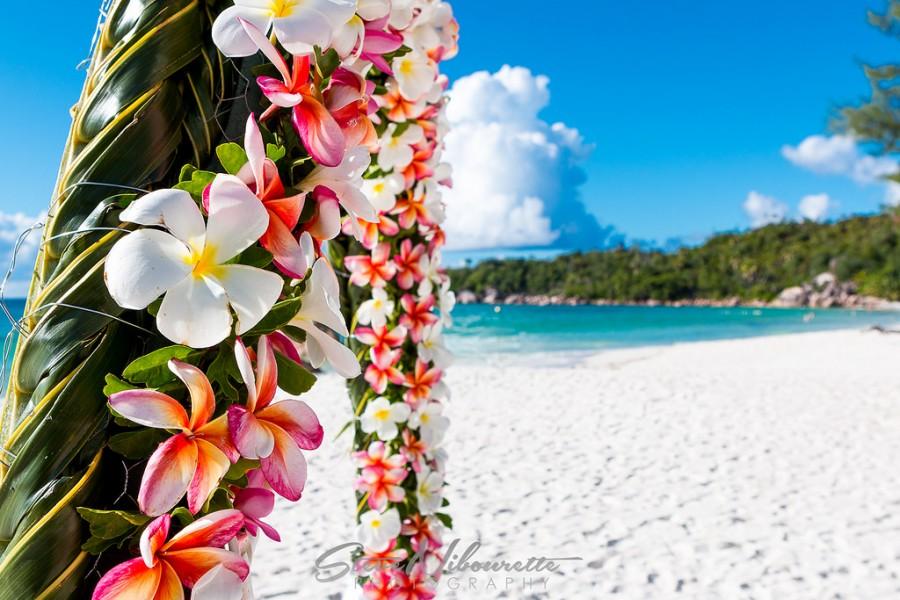 Mariage - Mariage de plage, Anse Lazio, Praslin, Seychelles