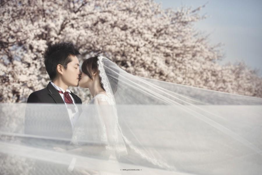 Hochzeit - [Hochzeits-] Sakura In The Wind