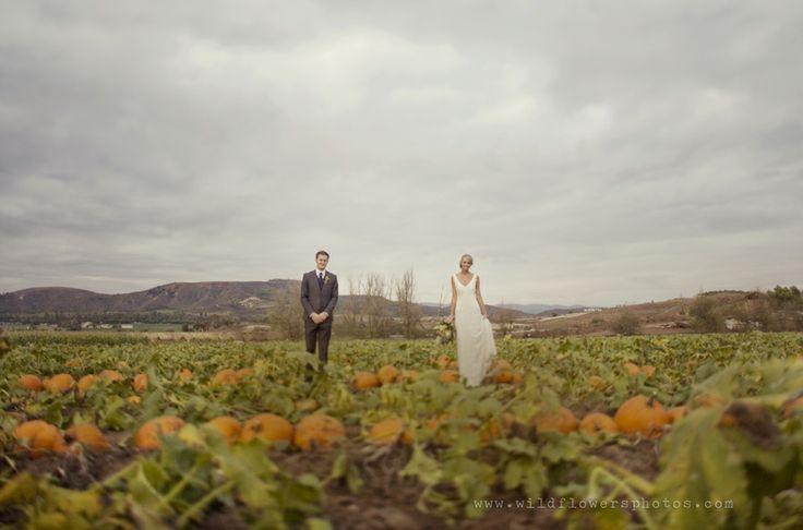 زفاف - زفاف الموسم: الخريف