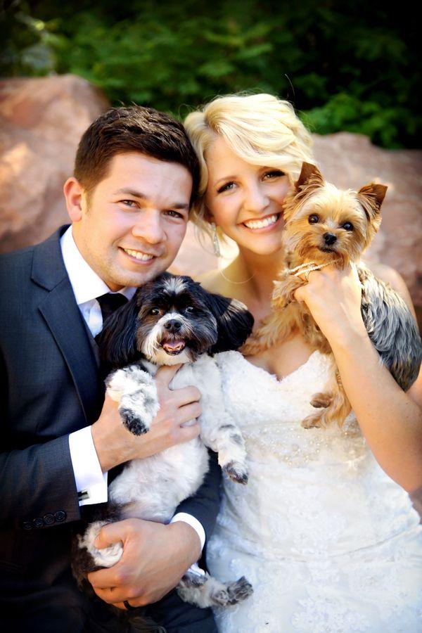 Mariage - Les chiens lors des mariages