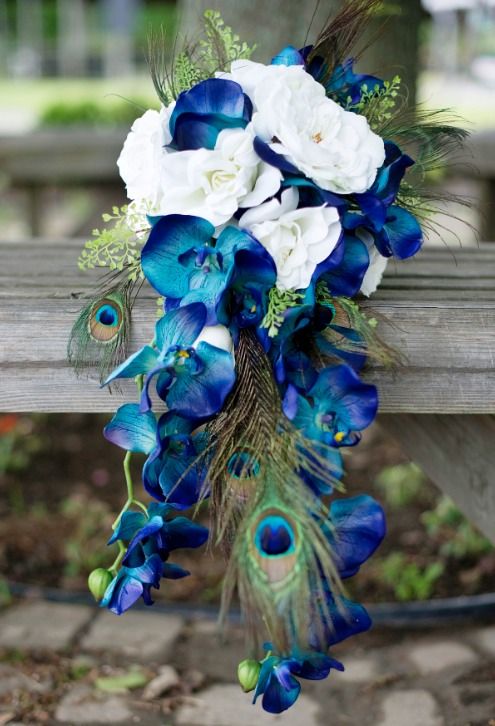 Wedding - Peacock Wedding