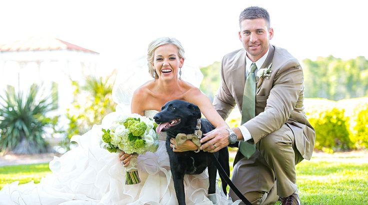 Wedding - Weddings - Pets