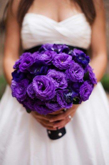 Wedding - Purple {Wedding}