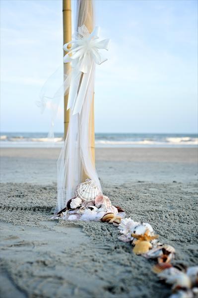 زفاف - BEACH الزفاف