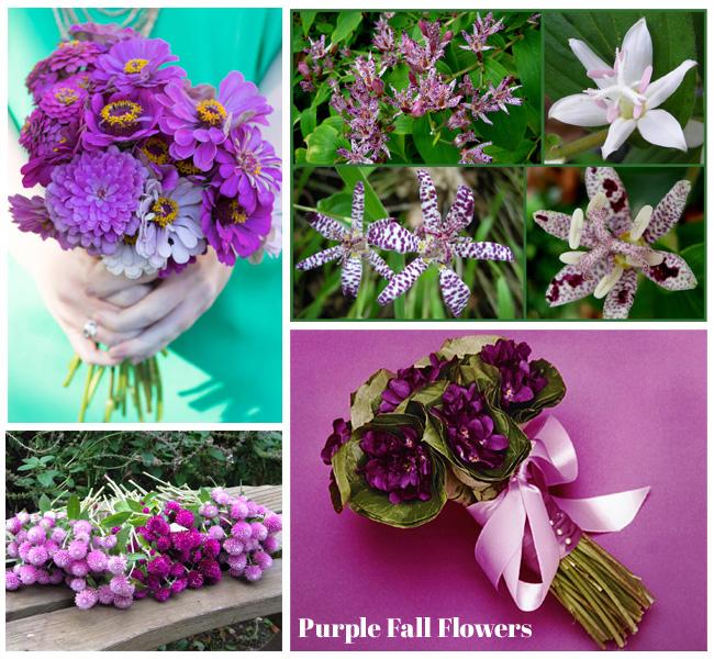 Mariage - Purple Fall Flowers http://mavenbride.com/purple-fall-flowers/