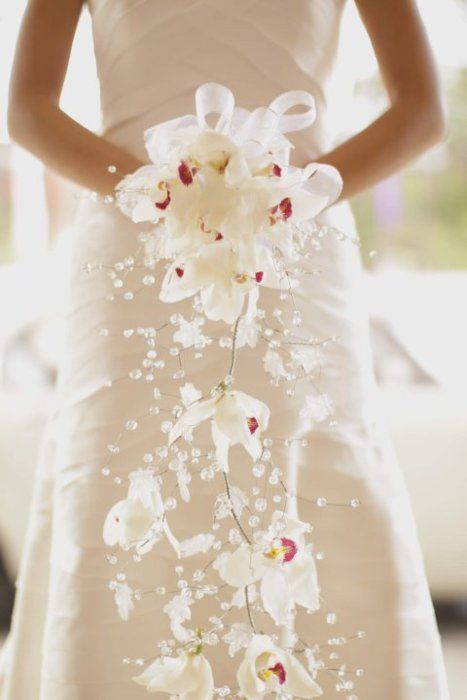 زفاف - عرس ألوان: الأبيض