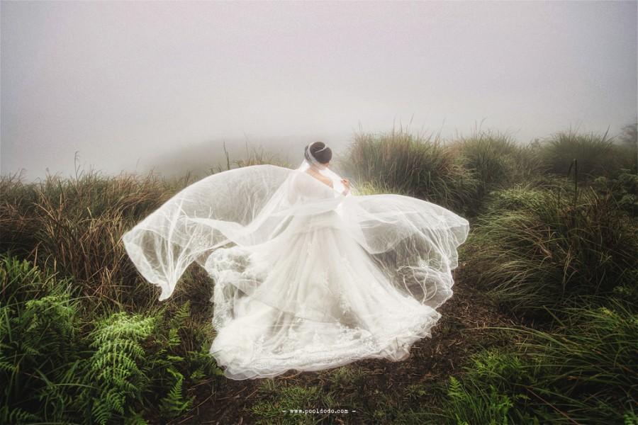 Hochzeit - [Hochzeits-] Im Nebel