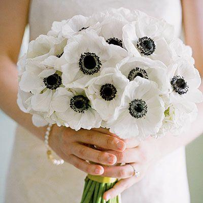Wedding - Bridal Bouquets White
