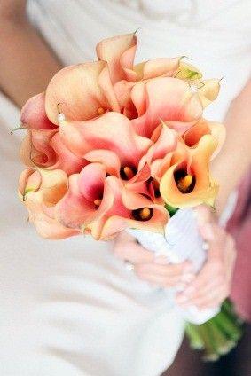 Hochzeit - Peach Coral {Wedding}
