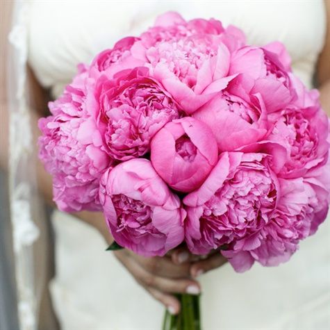 Mariage - Hot Pink {Wedding}