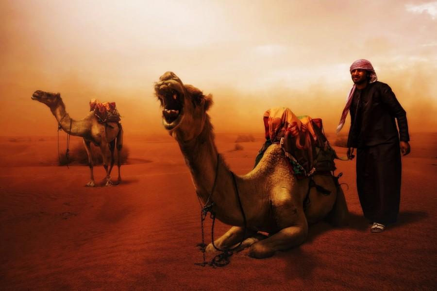 Свадьба - Пустынные ветры رياح الصحراء