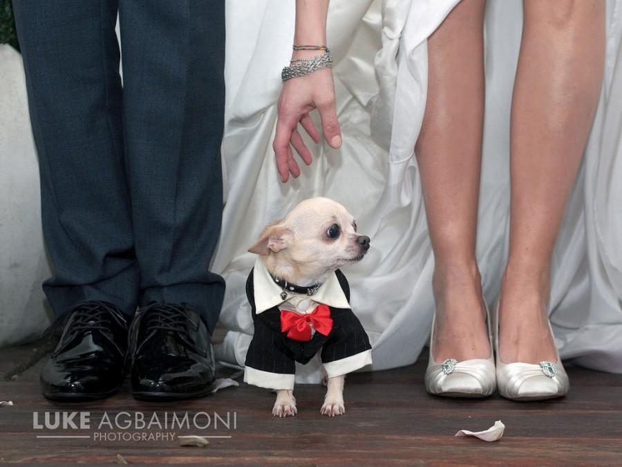 زفاف - بودنغ الكلب - لندن