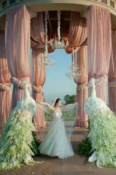 زفاف - بلدي الكمال الزفاف.