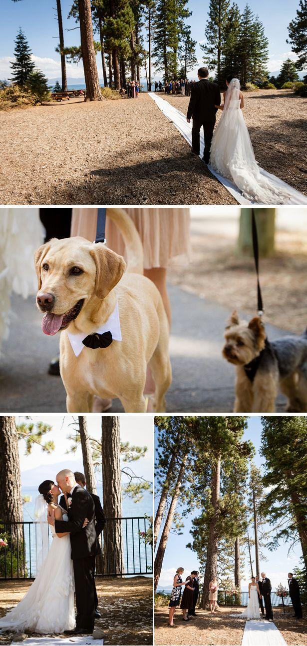 Hochzeit - Hochzeiten - Haustiere