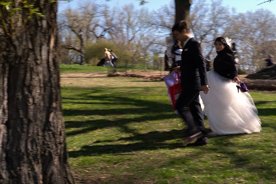 Свадьба - Центральный Парк Нью-Йорка