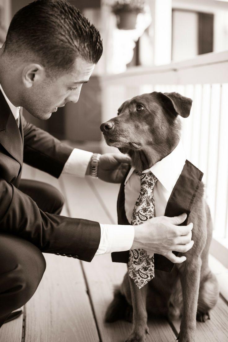Mariage - Mariages - Animaux