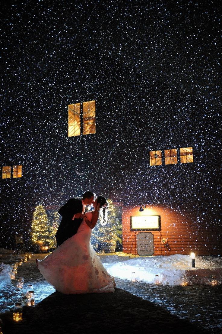 زفاف - الشتاء الإلهام الزفاف