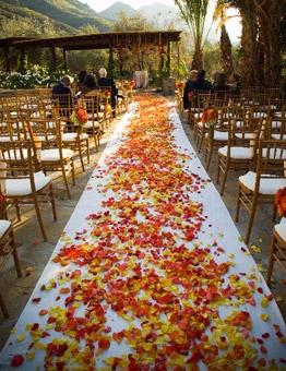 Mariage - Mariages automne