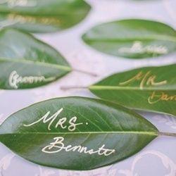 زفاف - الأخضر أفكار زفاف صديقة للبيئة