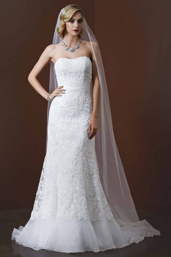 زفاف - david's bridal dress