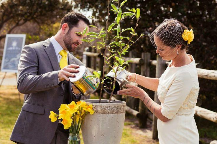 زفاف - الأخضر أفكار زفاف صديقة للبيئة
