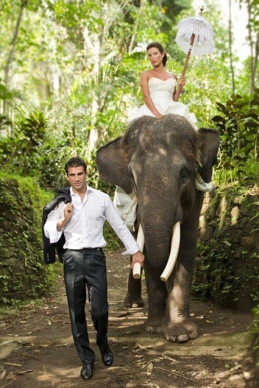 زفاف - الوجهة الزفاف: بالي وتايلاند
