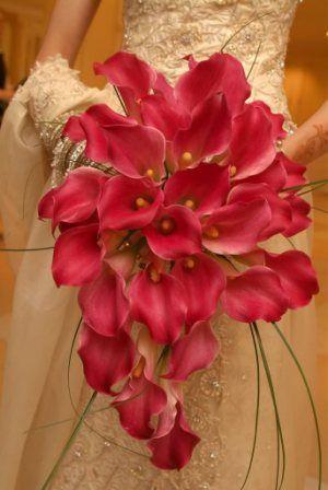 زفاف - فوشيا الزفاف