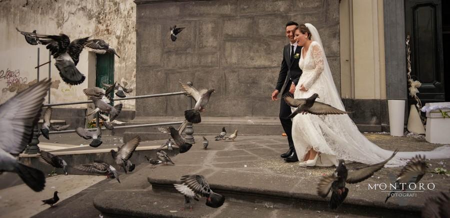 زفاف - مونتورو Fotografi - الزفاف -