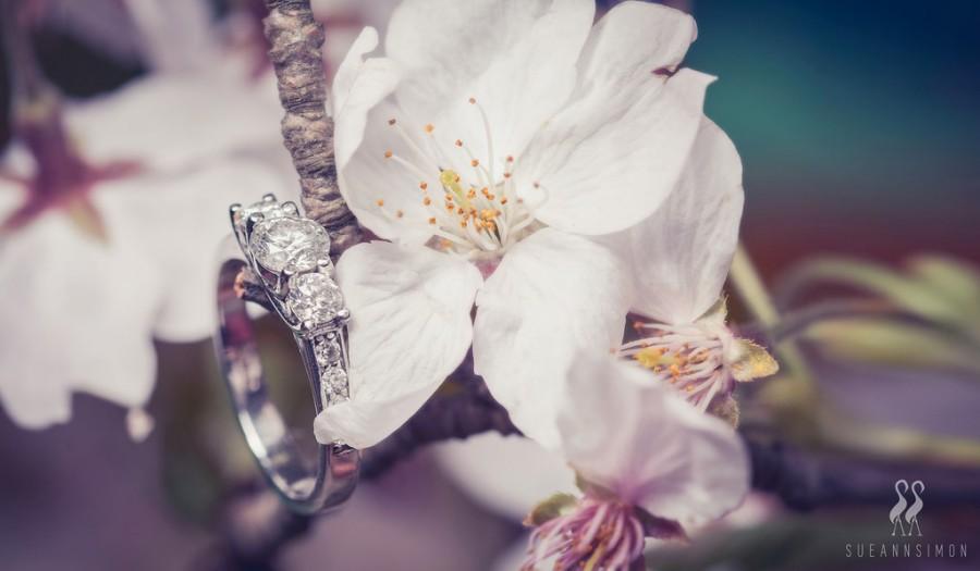 Wedding - Blossoms & Bling