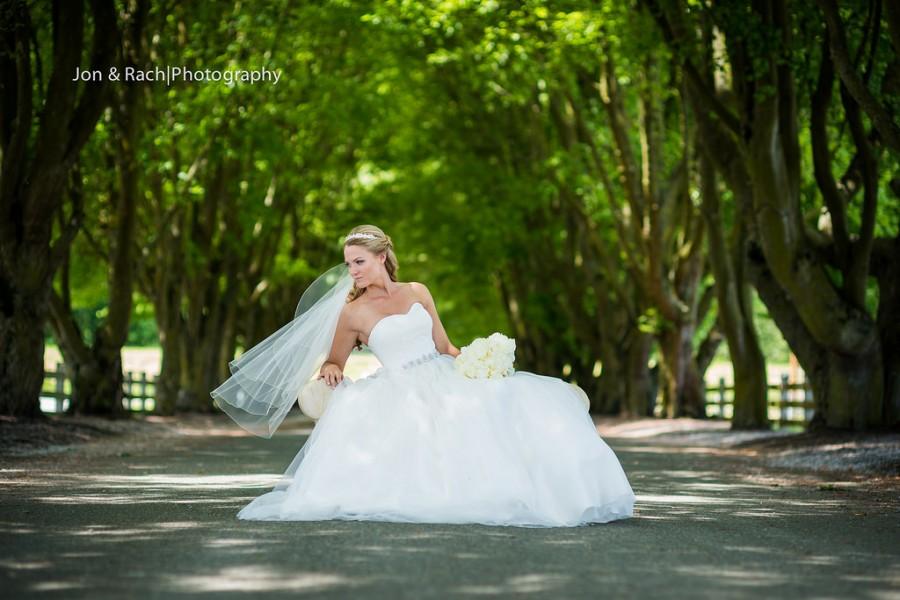 Wedding - Beautiful Bride