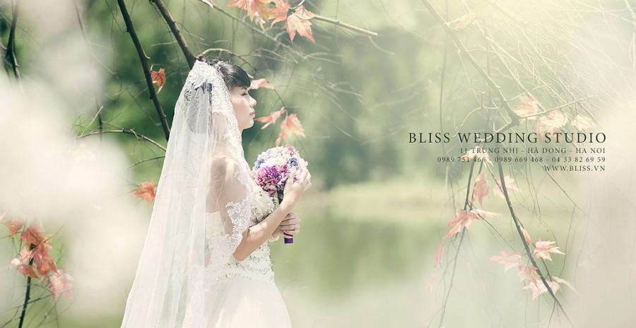 Wedding - Bliss Wedding Studio 2013