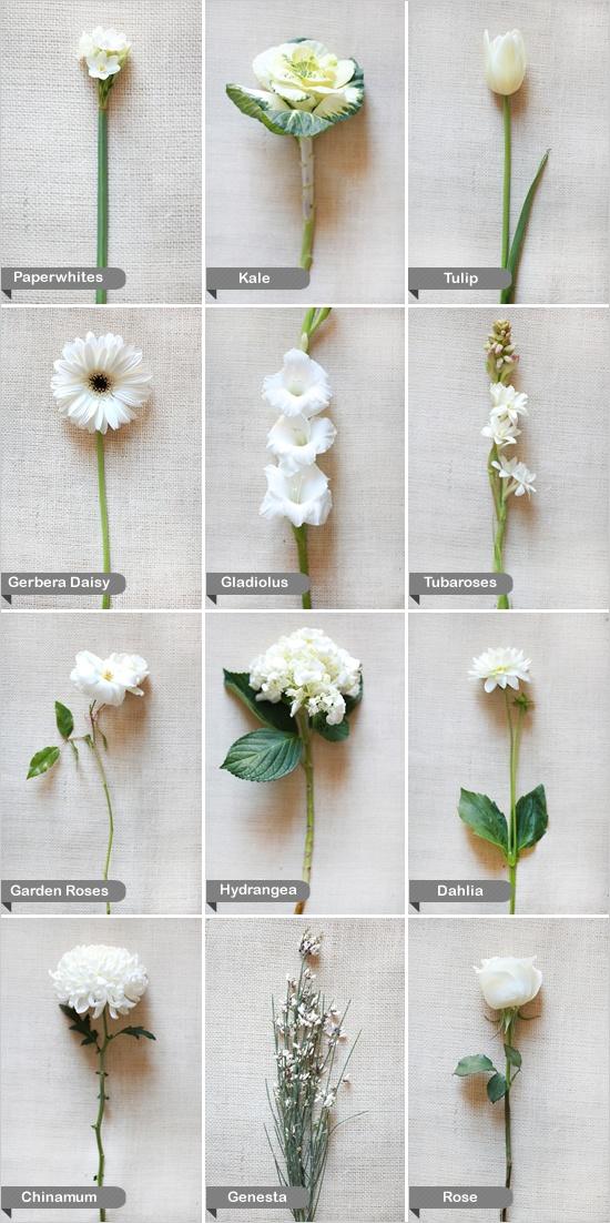 Wedding - Wedding Flower Guide